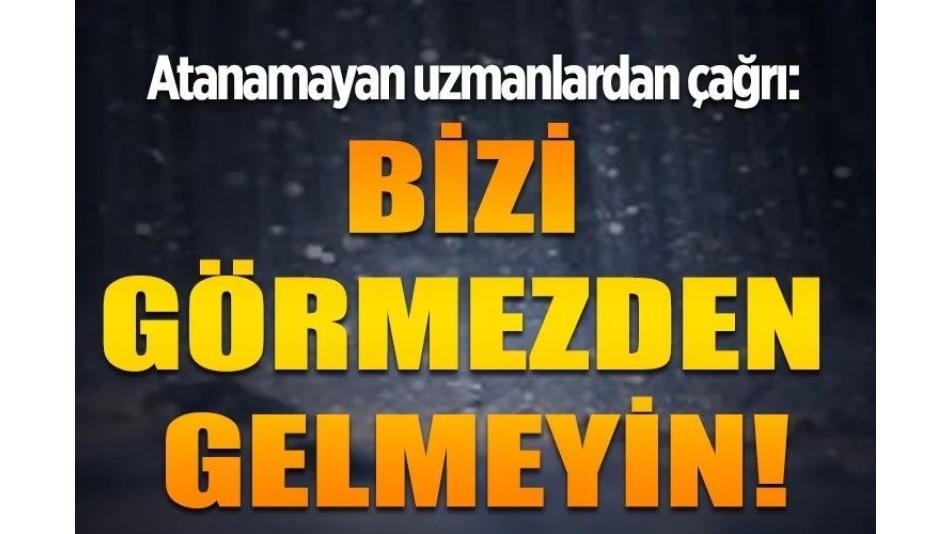 Atanamayan uzmanlardan çağrı: Bizi Görmezden gelmeyin!